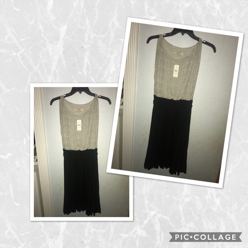 Loft striped dress